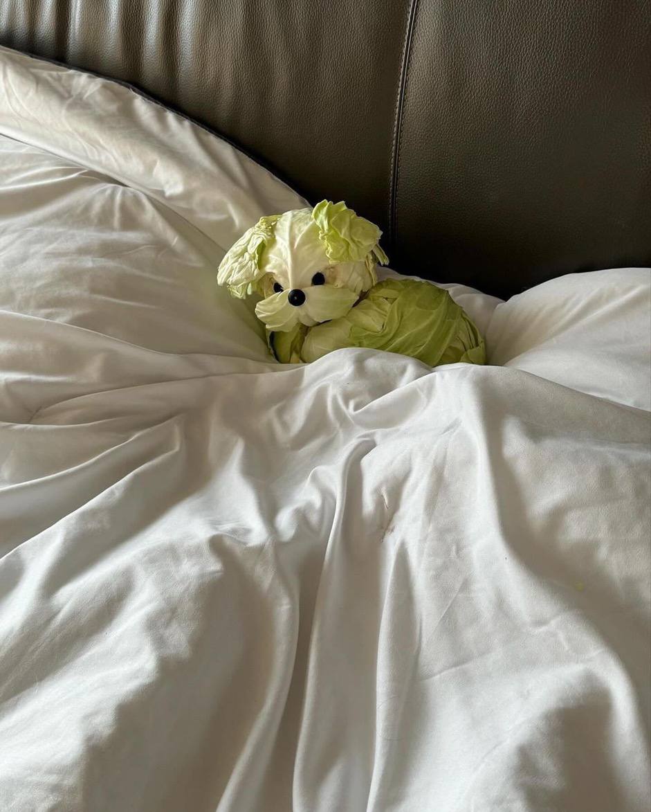 Kimchi tucked into bed