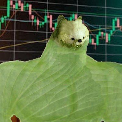 Kimchi in front of a candlestick chart