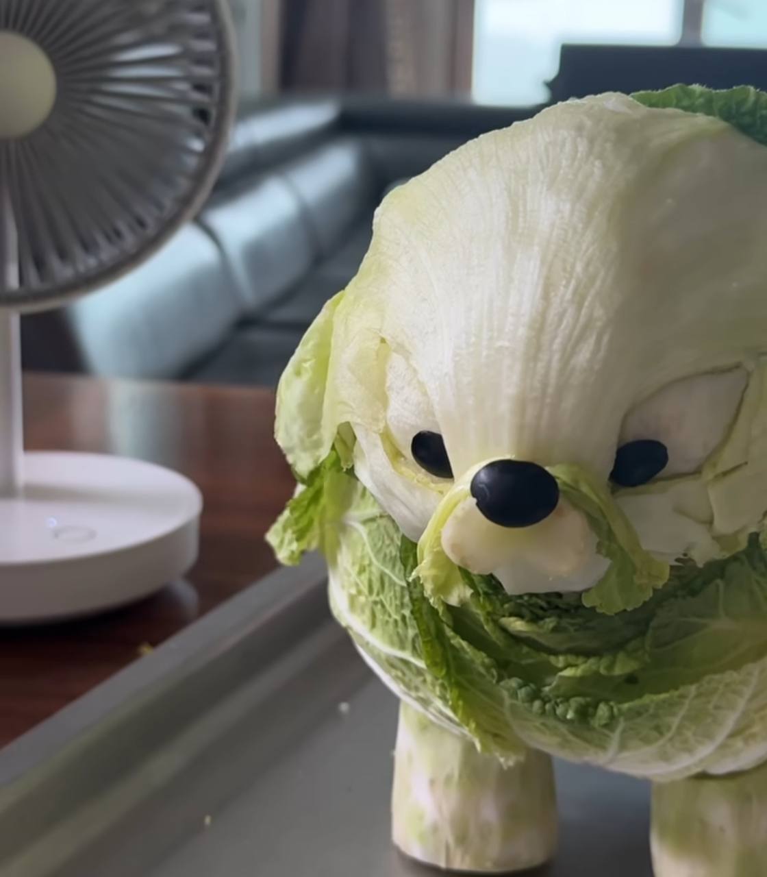 Kimchi next to a fan