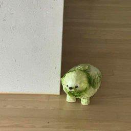 Kimchi standing by a wall